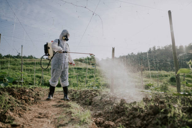 Best Best Pest Control Companies  in Ainsworth, NE