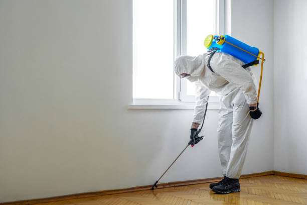 Best Commercial Pest Control Services  in Ainsworth, NE